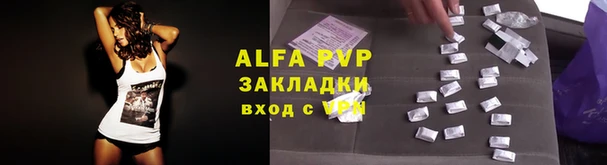 стафф Абинск