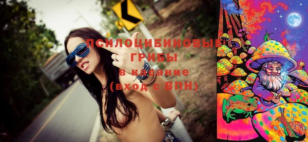стафф Абинск