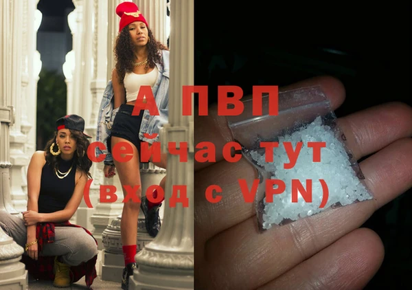 стафф Абинск