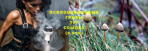стафф Абинск